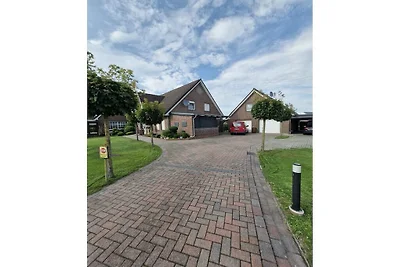 Wollige vooruitzichten