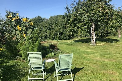 Studiohuis op de boerderij van Jumne