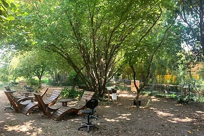 Stupenda yurta della mongola in Provenza