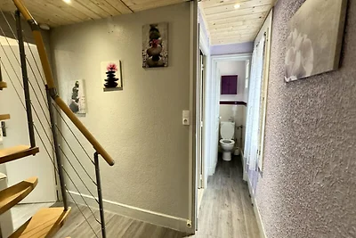 Haus in Mont-Dore mit Terrasse und Aussicht