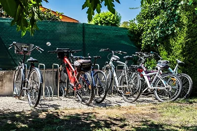 Carre Marine N°105 - 3P6