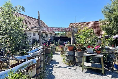 4 Sterne Ferienhaus in Fårö
