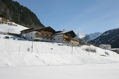 Wohnung in Gaschurn nahe Skipisten