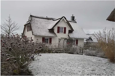 Vakantiehuis in Zierow met zwembad