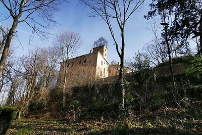 Wohnung im Schloss, mit privatem Garten