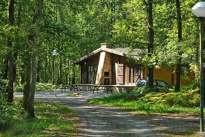 Aangenaam chalet in Viroinval met terras