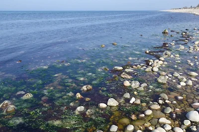 10 Personen Ferienhaus in Græsted-By Traum