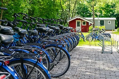 Chalet ben tenuto vicino ad Amsterdam