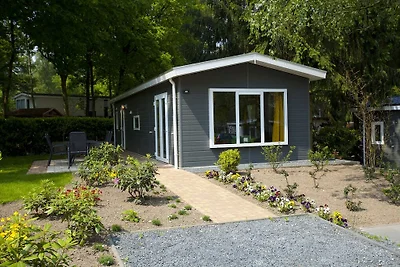 Well-kept chalet near the Maasduinen