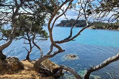 Wohnung nahe Saint-Clair-Strand