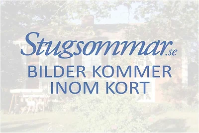 3 Personen Ferienhaus in BENGTSFORS