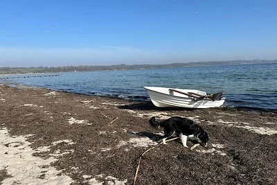4 Personen Ferienhaus in Broager-By Traum