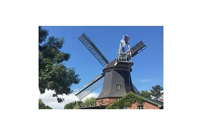 Diga del Mare del Nord Rifugio moderno