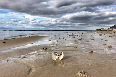 8 persone case ad Spøttrup