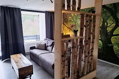 Neu renoviertes Studio in Winterberg