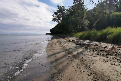 3 Persone case ad Tranekær