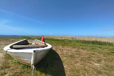 8 persone case ad Ringkøbing-By Traum