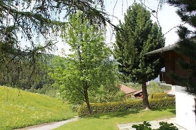 1 nello Chalet Primula