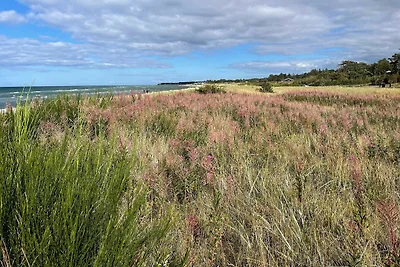 6 persone case ad Glesborg-By Traum