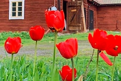 10 Personen Ferienhaus in Hedesunda