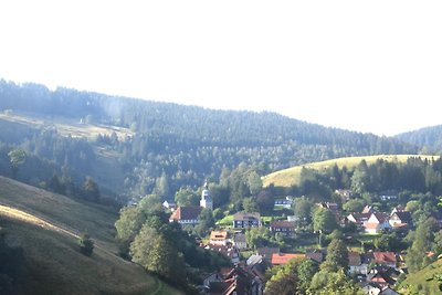 Ferienwohnung Romantik im Herzen des Harzes