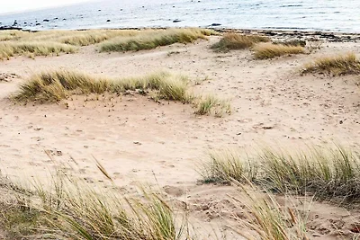 4 Sterne Ferienhaus in Halmstad