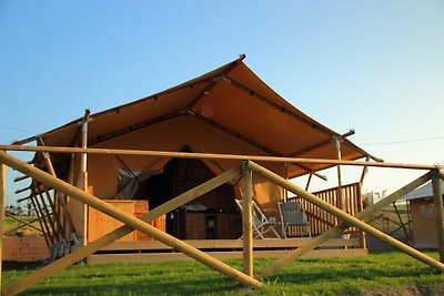 Tenda piacevole con piscina