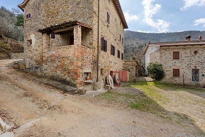 Rustikales Ferienhaus in Castigli auf Fiorent...