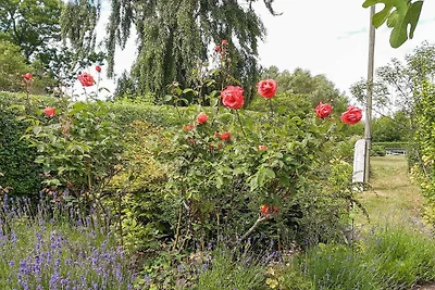 6 Personen Ferienhaus in Samsø