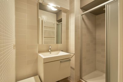 Gezellig appartement in Blankenberge