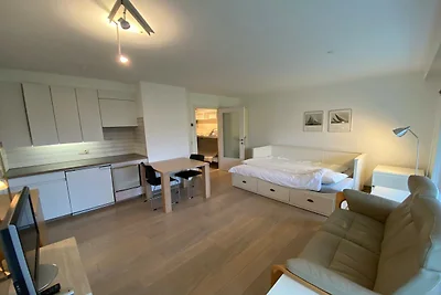 Wohnung in Nieuwpoort mit Meerblick