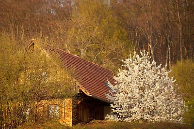 Ferienhaus in Straden mit Sauna und Wifi