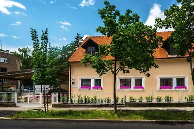 Rooms Lidija 17 - Standard Double Room (5)