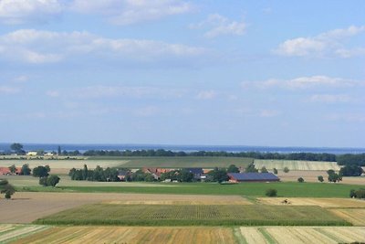 Eulennest im Haus Meerblick