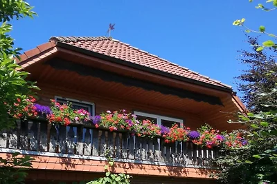 Vakantieappartement in Hage met zwembad