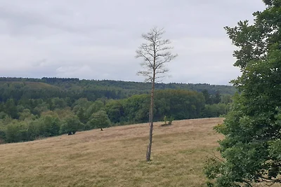 Luminosa Oasi Cottage a Silkeborg-By Traum