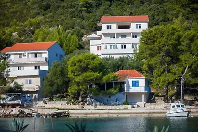 Apartments Bruna Lastovo-Standard One Bedroom...