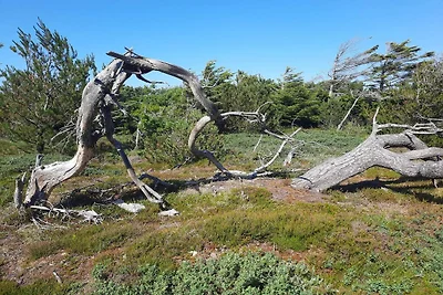 Rustig toevluchtsoord in Klitmoller