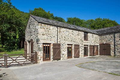 Schönes Ferienhaus mit Kamin in Tavistock