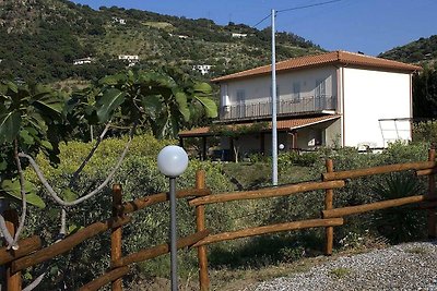 Modernes Ferienhaus in Patti mit Pool