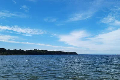 Kustsereniteit in Vejlby Fed-By Traum