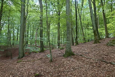 4 Sterne Ferienhaus in Gärsnäs