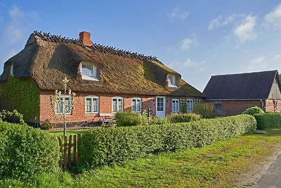 Reetdachhaus De Ole Kaat