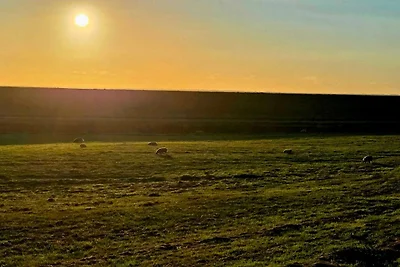 Moderne Kustenrefugium -- By Traum...