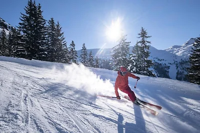 Ferienwohnung in den Alpen mit Bergblick