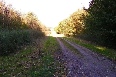 6 persone case ad Taastrup-By Traum