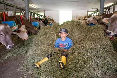 Ferienwohnung Tristnerblick im Huaterhof