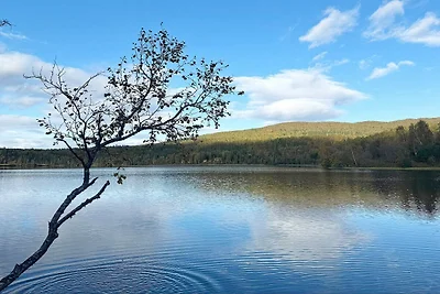 4 Sterne Ferienhaus in Storsteinnes