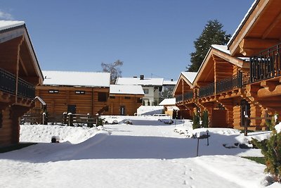 Gemütliches Ferienhaus in Jenig mit Skifahren...
