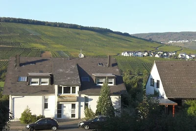 "Bernkasteler Moselpanorama"